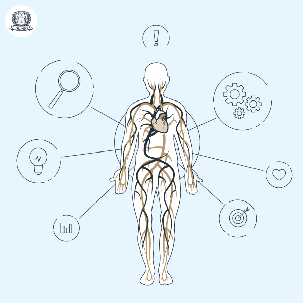 Телесная психотерапия с получением диплома за 15 месяцев — онлайн-курс от Ncrdo
