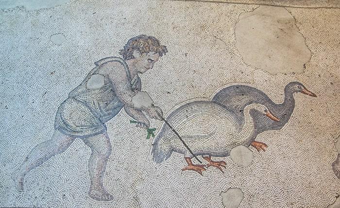 Виды мировой художественной культуры