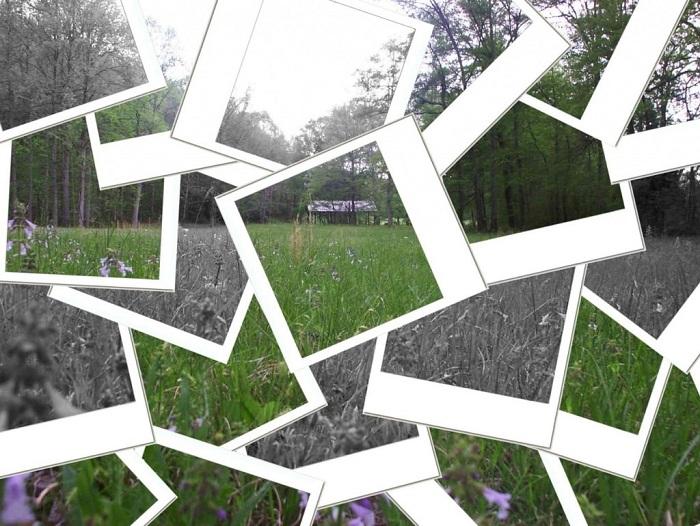 Что такое арт-терапия?